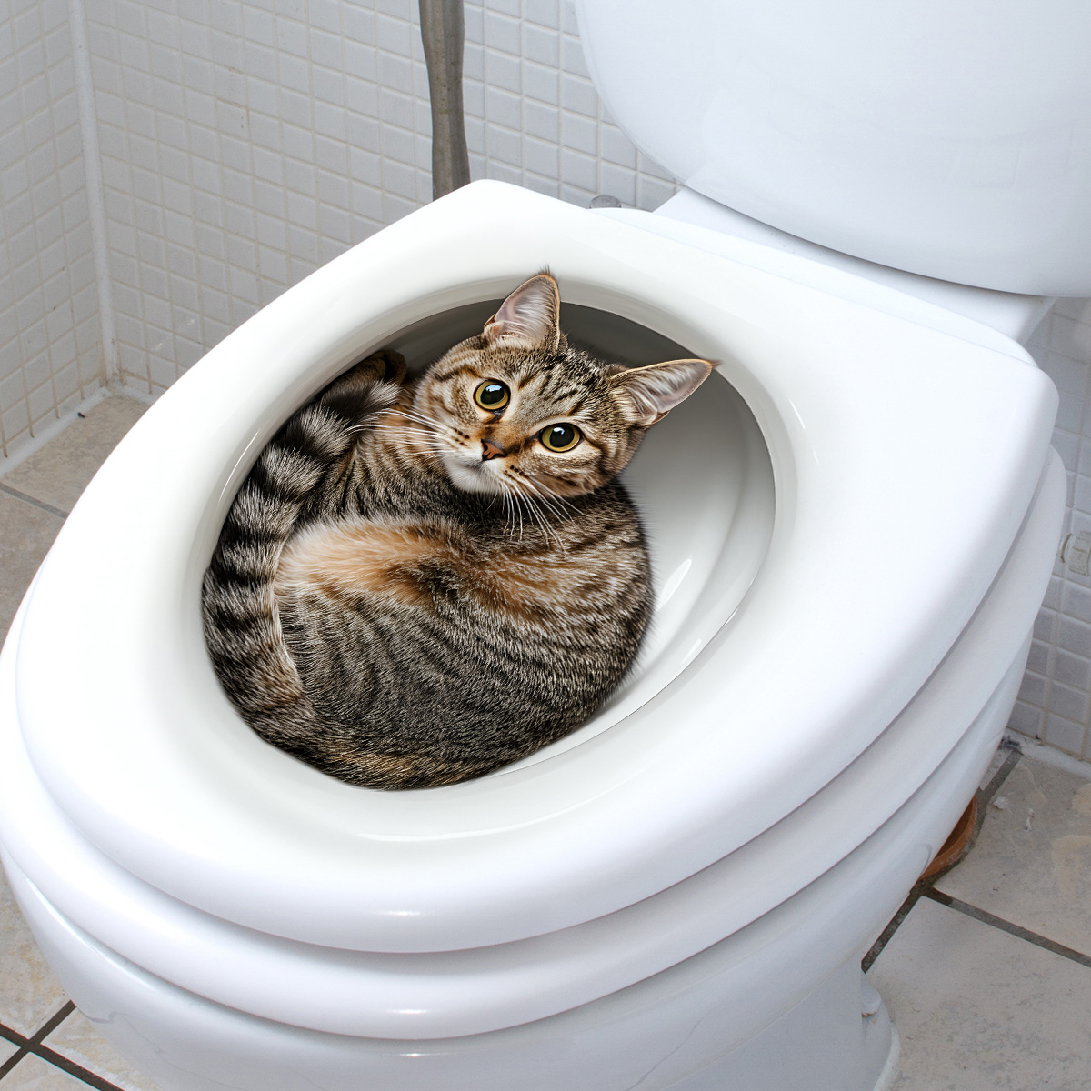 Stiker Toilet Kucing Lucu 3D S - Home Bathroom Gadgets ulasan dan harga
